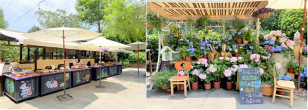 臺中新社薰衣草森林:人與自然的雙重自由