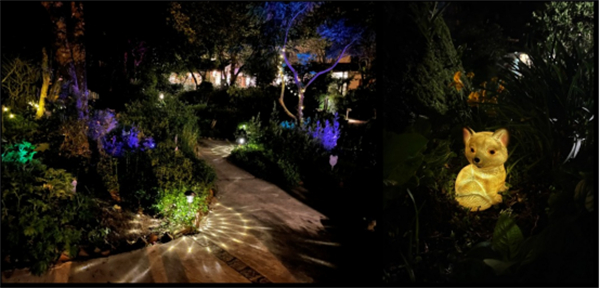 臺中新社薰衣草森林:人與自然的雙重自由