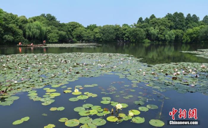 嚴(yán)禁偷窺大好河山?“圍欄擋景”到底在擋什么?