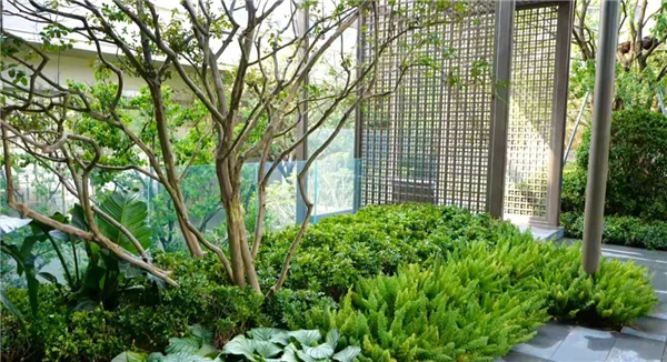 古城園林施工作品丨中海瓏悅理家園