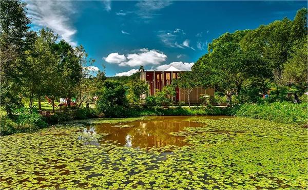 臺灣南投縣桃米村：多元產(chǎn)業(yè)融合 打造生態(tài)IP