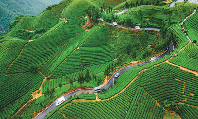 主題游徑如何“走”？