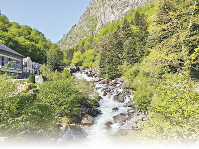 國外經(jīng)驗：國家公園助力生物多樣性保護