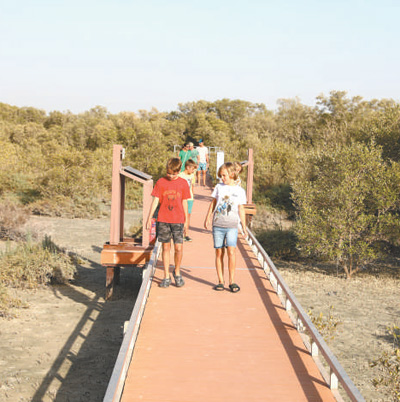 國外經(jīng)驗：國家公園助力生物多樣性保護