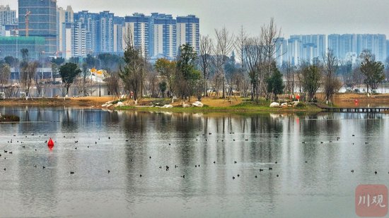 成都不斷探索公園城市建設實踐路徑