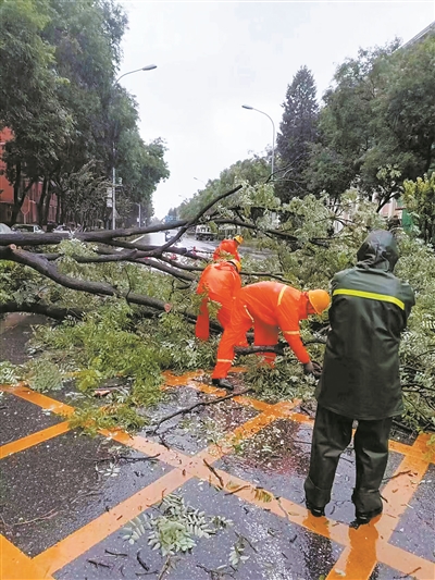 北京市園林綠化局有力應(yīng)對強(qiáng)降雨天氣