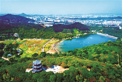 廣東出臺(tái)古樹名木保護(hù)管理指導(dǎo)意見