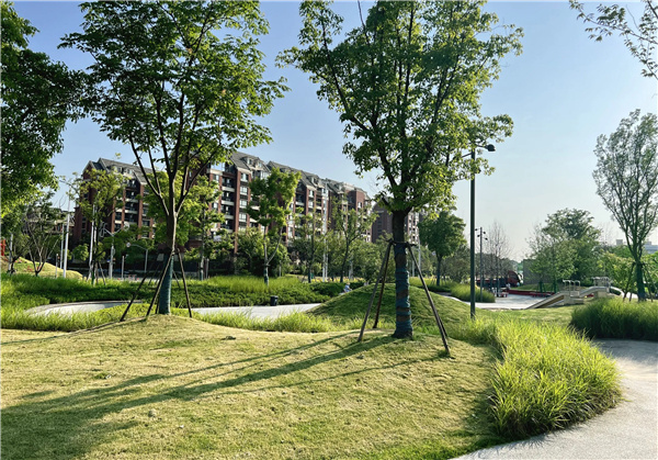 或然景觀丨活力草坪作為生活水岸目的地