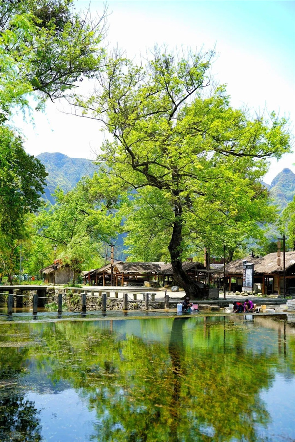 貴州云舍村：打造中國首席土家人文旅居地