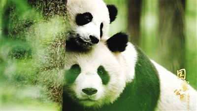 走進國家公園 記錄萬物共生之美