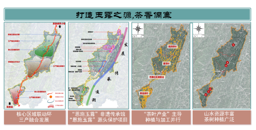 第二屆鄉村振興國際聯合畢業設計三等獎作品丨玉露緣起·傳承共生