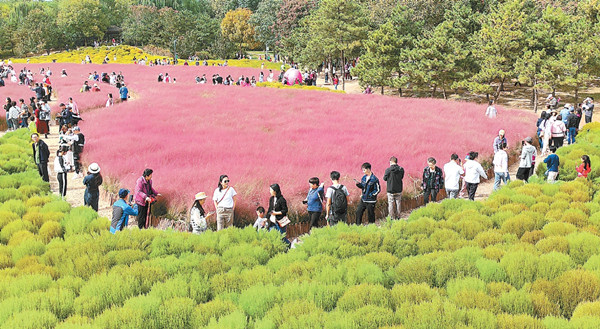 北京：市民游客樂享“微度假”和“城市漫游”