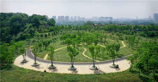 園冶杯參賽作品丨嘉魚縣濱江生態提升