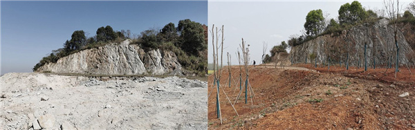 園冶杯參賽作品丨嘉魚縣濱江生態提升