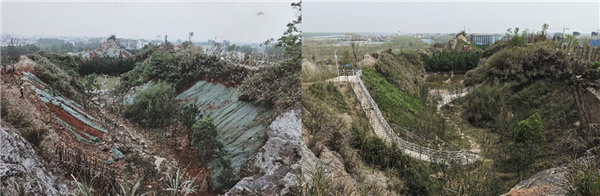 園冶杯參賽作品丨嘉魚縣濱江生態提升