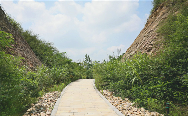 園冶杯參賽作品丨嘉魚縣濱江生態提升