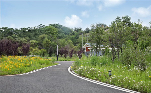 園冶杯參賽作品丨嘉魚縣濱江生態提升