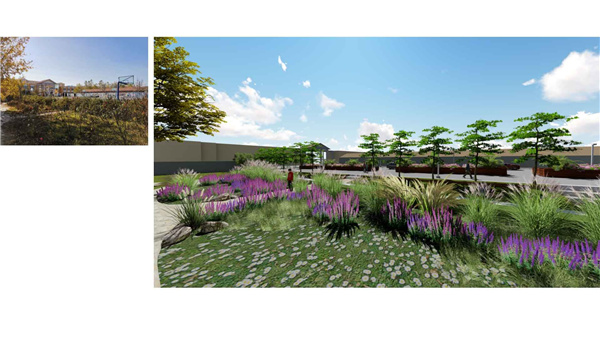 園冶杯參賽作品丨人大附中北大附小聯合實驗學校入口景觀提升