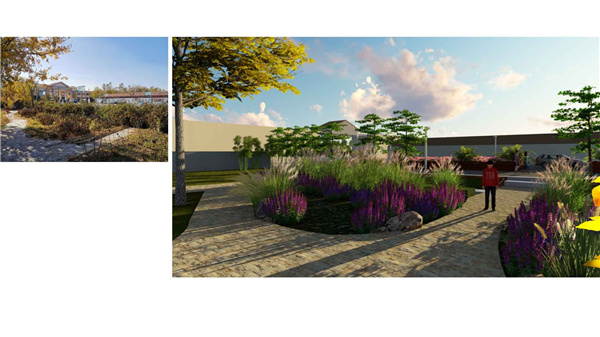 園冶杯參賽作品丨人大附中北大附小聯合實驗學校入口景觀提升