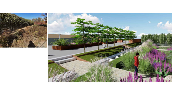 園冶杯參賽作品丨人大附中北大附小聯合實驗學校入口景觀提升