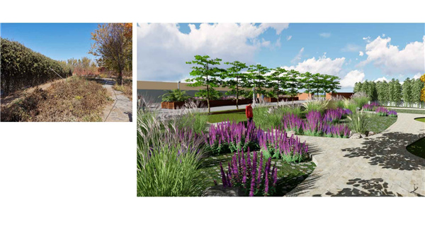 園冶杯參賽作品丨人大附中北大附小聯合實驗學校入口景觀提升