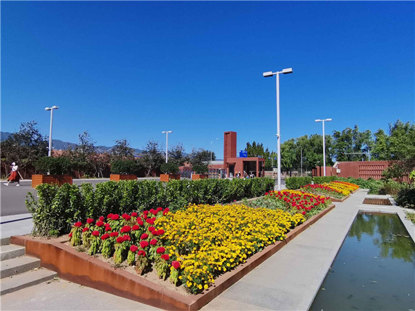 園冶杯參賽作品丨人大附中北大附小聯合實驗學校入口景觀提升