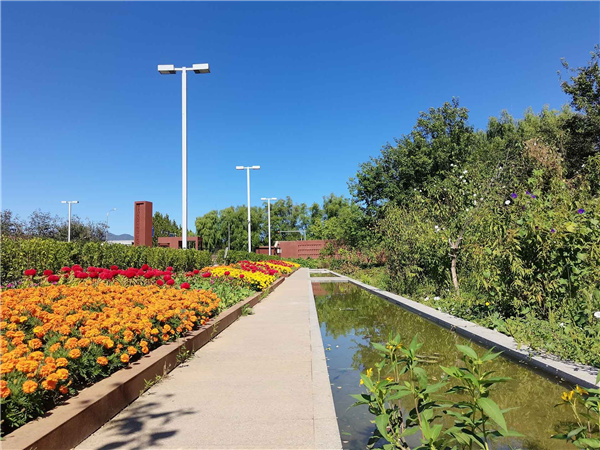 園冶杯參賽作品丨人大附中北大附小聯合實驗學校入口景觀提升