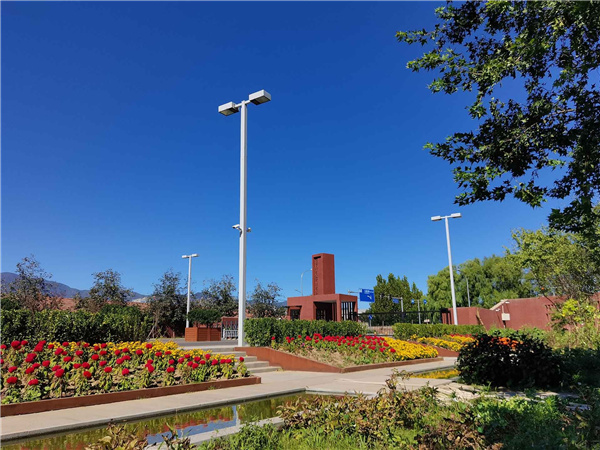 園冶杯參賽作品丨人大附中北大附小聯合實驗學校入口景觀提升