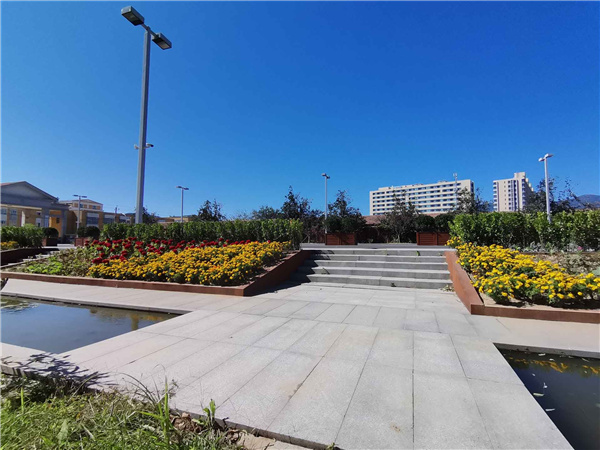 園冶杯參賽作品丨人大附中北大附小聯合實驗學校入口景觀提升