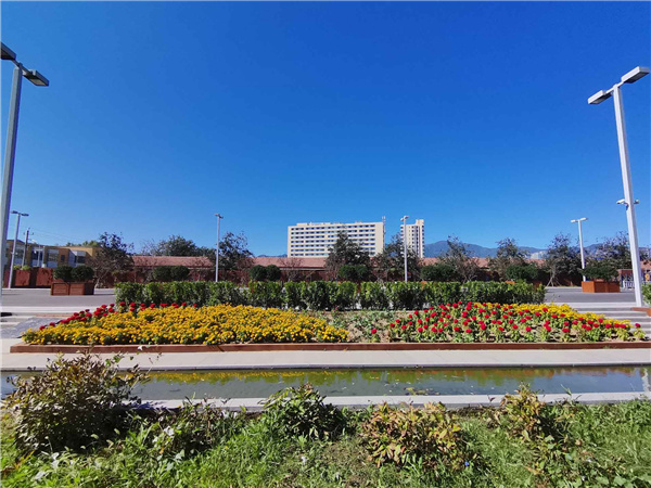 園冶杯參賽作品丨人大附中北大附小聯合實驗學校入口景觀提升