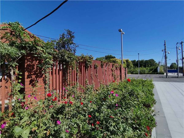 園冶杯參賽作品丨人大附中北大附小聯合實驗學校入口景觀提升