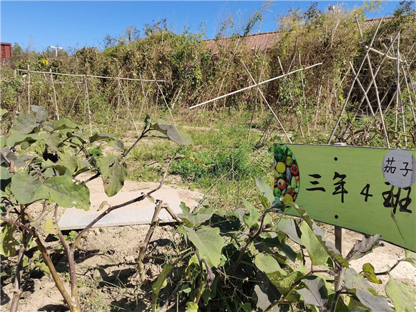 園冶杯參賽作品丨人大附中北大附小聯合實驗學校入口景觀提升