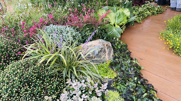 花境設計建造心得