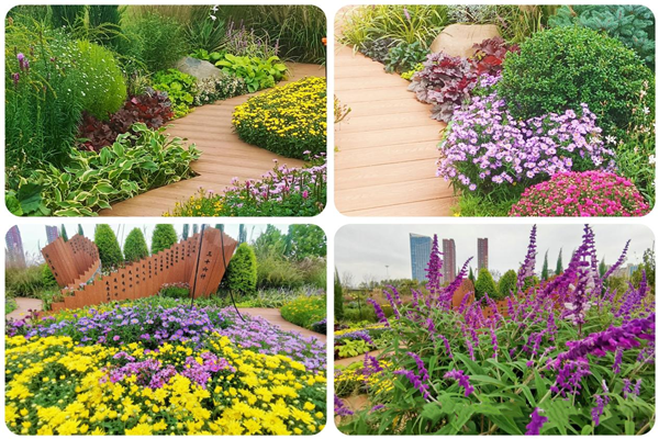 花境設計建造心得