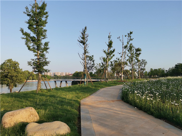 園冶杯參賽作品丨金西小城鎮綜合整治項目