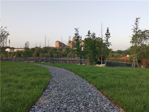 園冶杯參賽作品丨金西小城鎮綜合整治項目