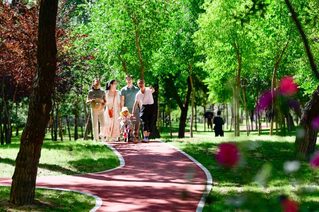 建“公園城市”，要新要美要科學