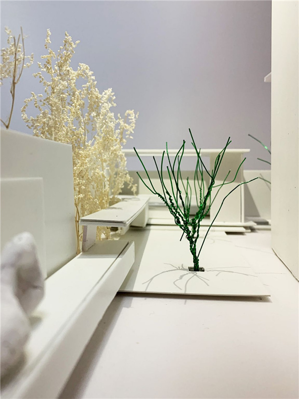 園冶杯參賽作品丨桐鄉香格里拉某庭院