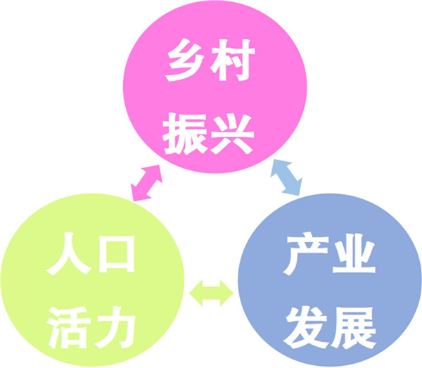 園冶杯參賽作品丨老冢鎮“記憶中的鄉村”