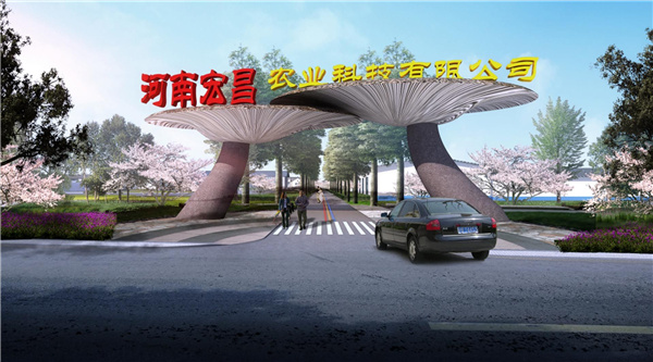 園冶杯參賽作品丨老冢鎮“記憶中的鄉村”