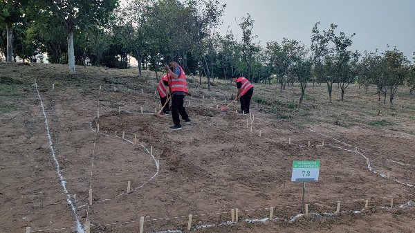 花境打造的“三部曲”