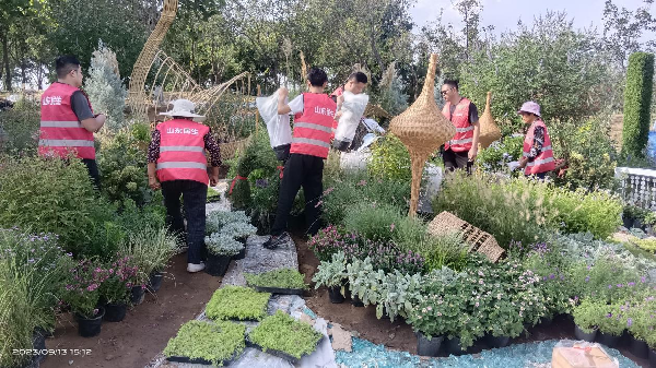 花境打造的“三部曲”