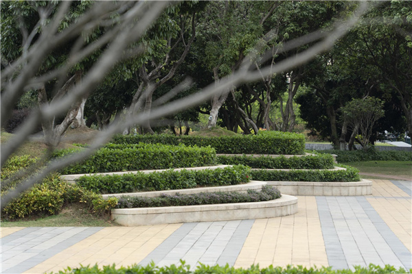 園冶杯參賽作品丨深圳市光明區(qū)荔枝公園