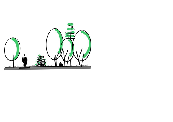 園冶杯參賽作品丨深圳市光明區(qū)荔枝公園