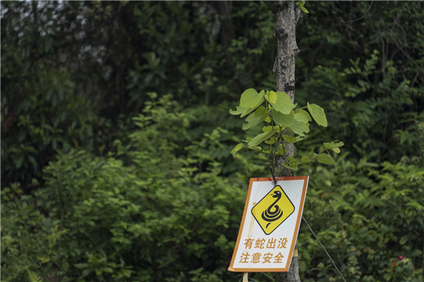 園冶杯參賽作品丨深圳市光明區(qū)荔枝公園