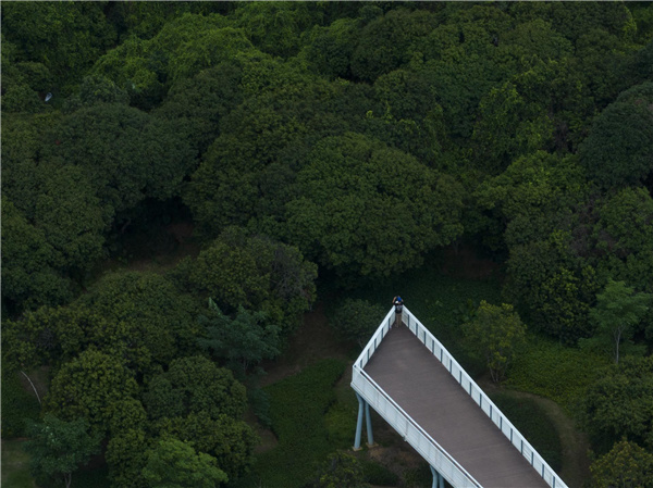 園冶杯參賽作品丨深圳市光明區(qū)荔枝公園