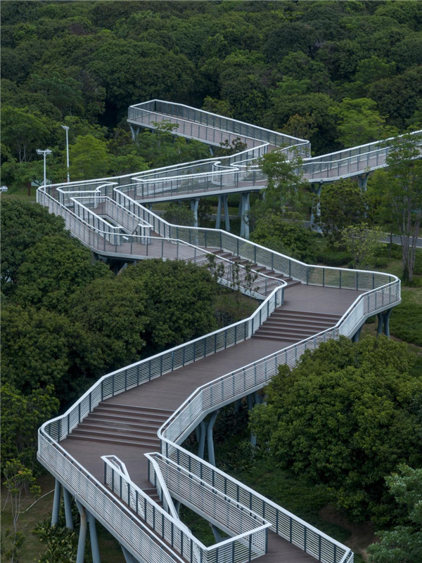 園冶杯參賽作品丨深圳市光明區(qū)荔枝公園