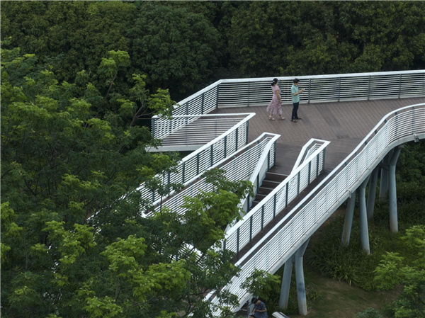 園冶杯參賽作品丨深圳市光明區(qū)荔枝公園
