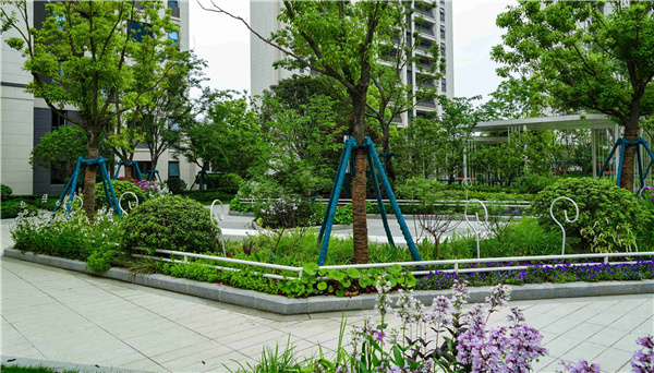 園冶杯參賽作品丨金地翡翠星辰一期景觀花境工程