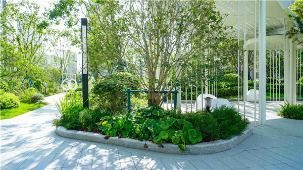 園冶杯參賽作品丨金地翡翠星辰一期景觀花境工程